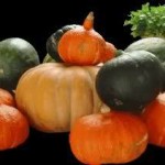 pompoen1